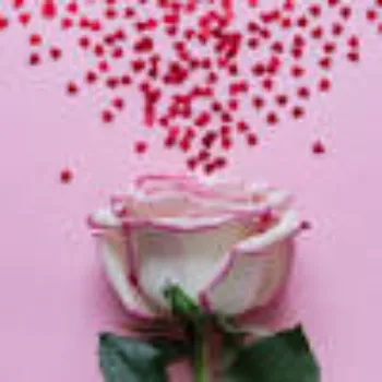 Natural Pink Rose